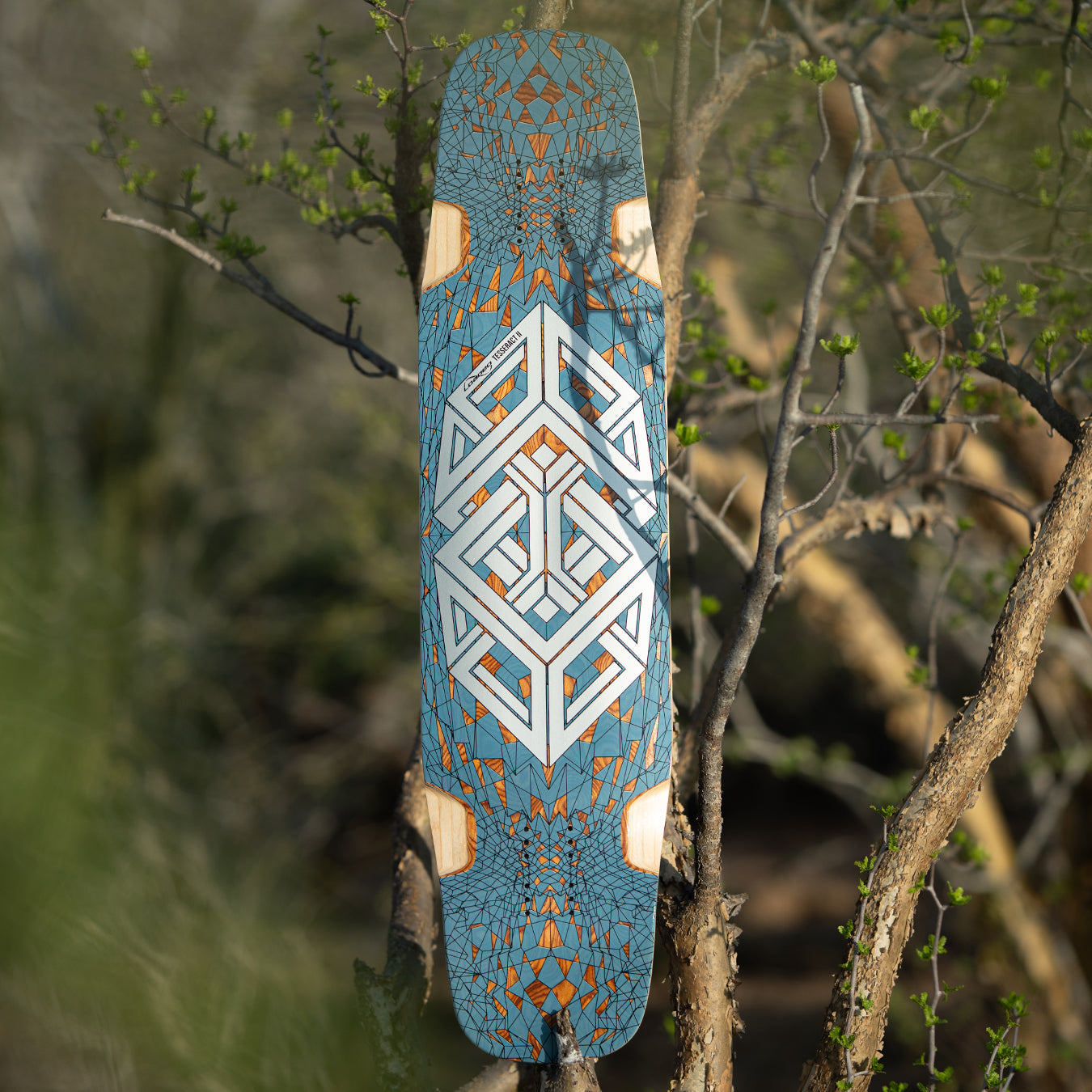 Slide & Freestyle Longboard — Complete Ride